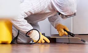 Best Residential Pest Control  in Mingo Junction, OH